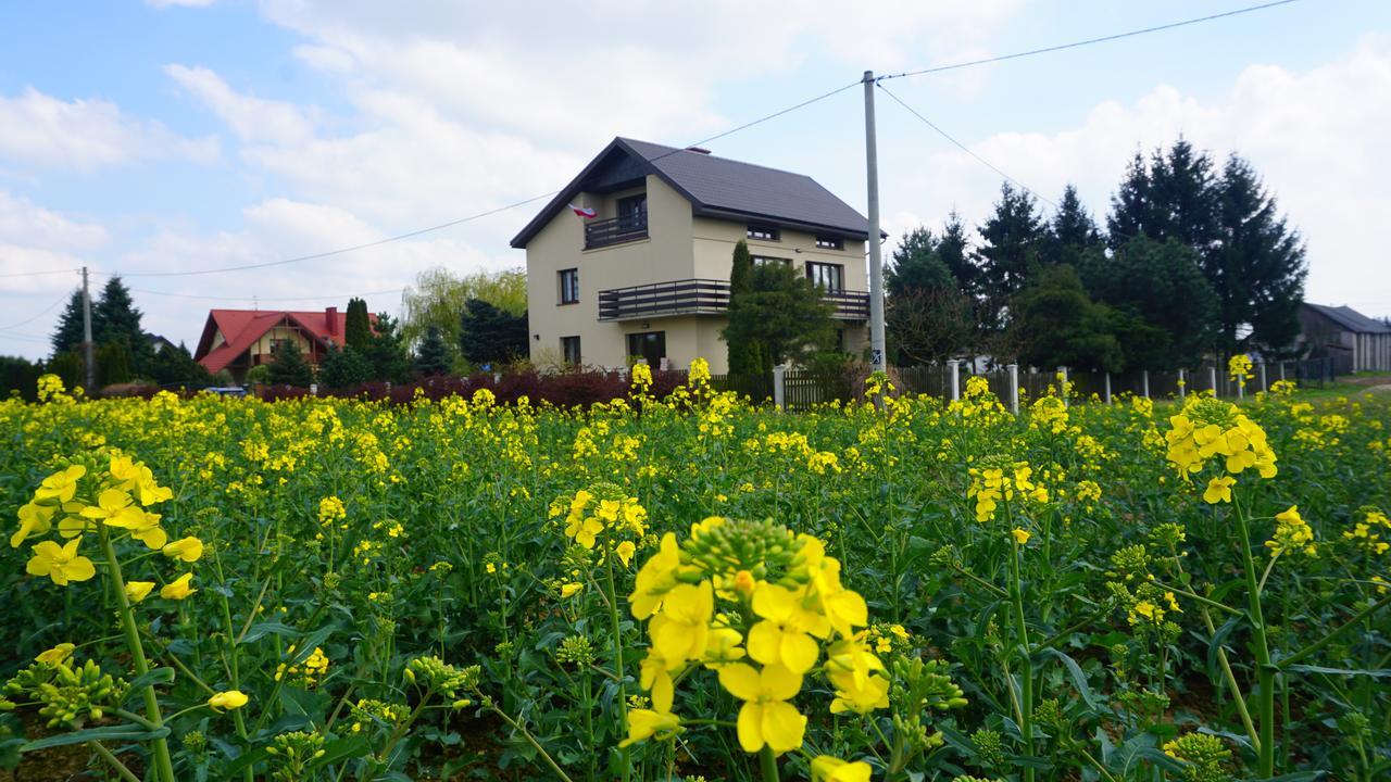 Swierkowy Nałęczów Buitenkant foto